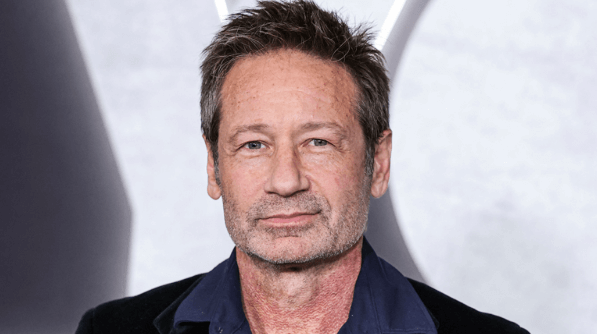 David Duchovny Net Worth