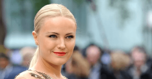 Malin Akerman Net Worth