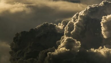 hyderabad weather forecast updates